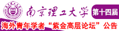 2023免费操b南京理工大学第十四届海外青年学者紫金论坛诚邀海内外英才！
